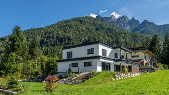 Expose Elegantes Einfamilienhaus im Bauhausstil mit Bergsicht ( 05918 )