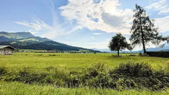 Expose Exklusives, sonniges Baugrundstück in Aussichtslage ( 03190 )
