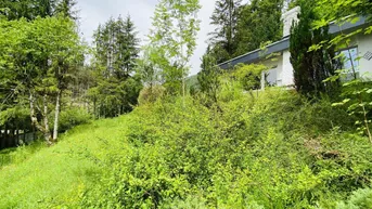 Expose Abbruchhaus mit Berg- und Grünblick – Grundstück in Hof bei Salzburg