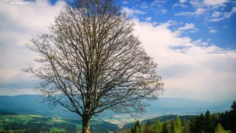 Expose Panoramablick - Ferienhaus in Kärnten