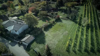 Expose SONNE, WEIN &amp; WEITBLICK – 735 m² BAUGRUNDSTÜCK DIREKT AM WEINGARTEN IN KLOSTERNEUBURG ZU KAUFEN!