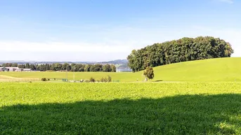 Expose Berg- und Seeblick! Grundstück mit Altbestand im Salzburger Seengebiet