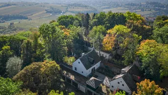Expose Liebe zur Nostalgie: Historische Villa am Kahlenberg mit Blick über Wien