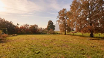 Expose Platz mit Weitblick!Sonniges Baugrundstück am Grünlandgürtel in Leopoldskron