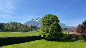 Expose Salzburger Premiumlage!2.850 m² sonniges Grundstück in Morzg