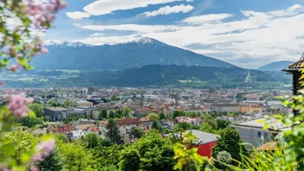 Panoramablick über die Stadt mit schneebedeckten Bergen im Hintergrund, umrahmt von blühenden Bäumen.
