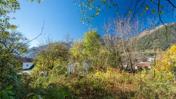 Expose Bauparzelle mit großem Freiland- bzw. Waldgrundstück