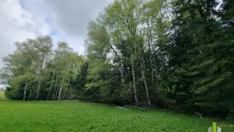 Expose Landwirtschaftliches Grünland mit Waldfläche