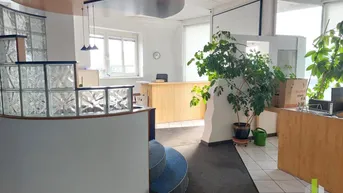 Heller Empfangsbereich eines Büros mit Glasbausteinen, Holztresen und Pflanzen, gut beleuchtet durch große Fenster.