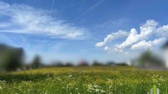 Expose Traumhaftes Baugrundstück in Top Lage | Straßwalchen