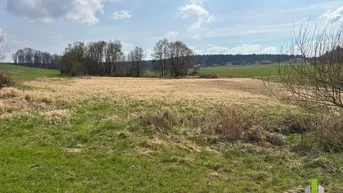 Expose Landwirtschaftlicher Nutzgrund