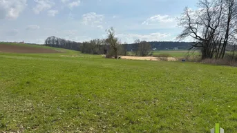 Expose Landwirtschaftlicher Nutzgrund