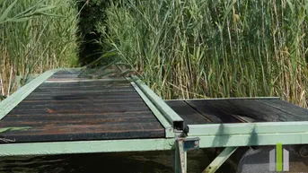 Expose Seegrundstück mit Steg, Boje &amp; Weinfass-Schlafplatz – direkt am Obertrumer See!