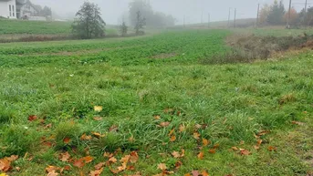 Expose Großzügiges Grundstück in Peuerbach