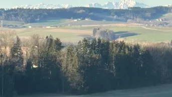 Malerischer Weitblick über grüne Felder und Wälder bis zu den schneebedeckten Bergen.
