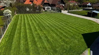 Große, gepflegte Rasenfläche eines Gartens mit Blick auf die umliegende Wohnbebauung.