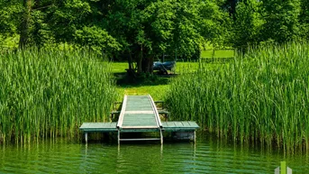 Kleiner Holzsteg führt ins klare Seewasser, umgeben von üppigem Schilf und grünen Bäumen am Ufer.