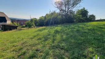 Grüne Wiese mit Bäumen und Blick auf die umliegende Landschaft unter strahlendem Sonnenschein.
