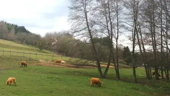 Expose Reitsportgelände in Ruhelage