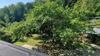 Expose Traumhaus zu kaufen: Wohnen oder Arbeiten in Top-Lage!