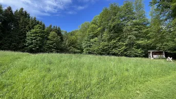Expose Traumhafte Baugrundstücke in der Nähe vom Attersee !