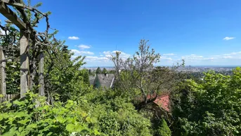 Expose Top Aussichtslage am Schafberg!