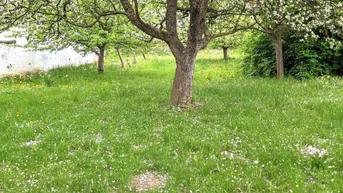 Expose Einfamilienhaus mit ländlichem Charme und Flair mit großem, grünen Garten und Obstbäumen in kleinem, aber feinem Dorf Karl