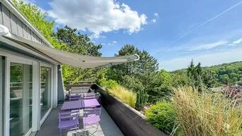 Expose Fantastische 3-Zimmer Wohnung mit Panorama-Blick in den Pötzleinsdorfer Schloßpark