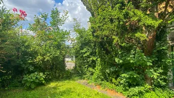 Überwachsener Gartenweg führt durch dichtes Grün zu einem Tor unter blauem Himmel.