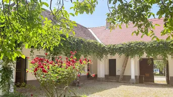Idyllischer Innenhof mit üppiger Begrünung, roten Rosen und traditioneller Architektur.