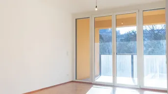 Expose BLICK IN DAS PALAIS SCHÖNBURG - helle 3-Zimmer-Stadtwohnung im 4. Bezirk! Pelletsheizung!