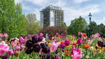 Expose Traumlage - Vorsorgewohnung mit KFZ-Stellplatz am Kurpark Oberlaa - Preis für Anleger EUR 350.000,--