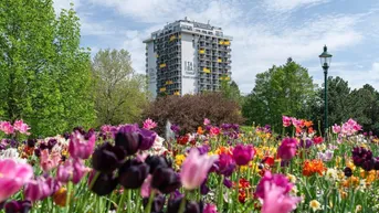 Expose Traumlage - Serviced Apartment am Kurpark Oberlaa