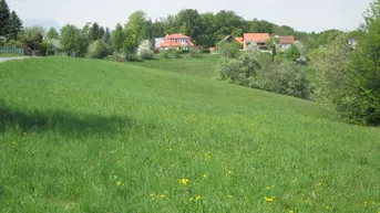 Expose Baugründe in Laßnitzhöhe-Nestelbach, mit Möglichkeit zur Zusammenschließung