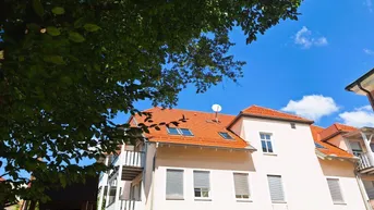 Expose Dachgeschoss-Wohnung in der Villa Assmann, Top 9 [GF,LB]