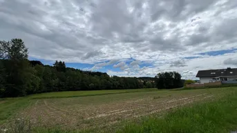 Expose Baugrundstück in Bad Gams für Bauträger!