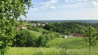 Expose Traumhaftes Grundstück, mit altem Winzerhaus