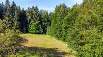 Expose Rarität - Ruhige Alleinlage Nähe Graz mit Waldbestand