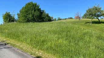 Expose Baugrundstück WR 0,2 - 0,3 Nähe Privatklinik Ragnitz mit leichter Hanglage in ruhiger Seitenstraße !