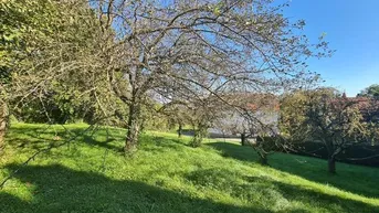 Expose Traumhaftes Baugrundstück im Herzen von Hartberg – Ihr Platz für neue Wohnideen