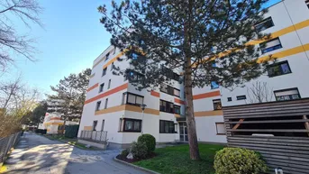 Expose Komplett ruhig gelegene Wohnung in Graz Strassgang