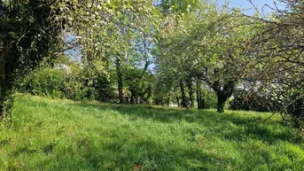 Expose Schönes Baugrundstück im Herzen von Hartberg