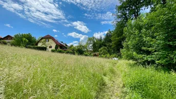 Expose Sonniges Baugrundstück mit Waldblick bei Graz-Mariatrost