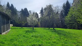 Expose 12.000 m² Alleinlage in Graz-Umgebung – mit Wohnhaus &amp; Nebengebäude