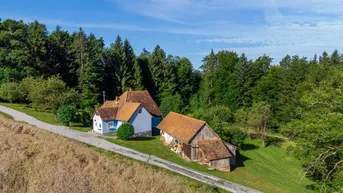 Expose Haus mit großem Grund und Wald zur Miete