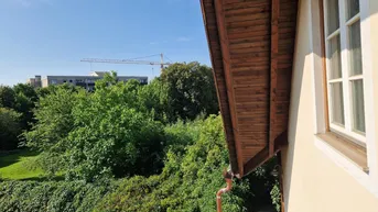 Blick aus dem Fenster auf einen kleinen blauen Pool, umgeben von Bäumen und einem Kran in der Ferne.