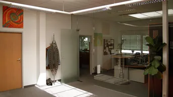 Expose 552 m² | Moderne Büros in 1220 Wien | Verschiedene Größen | Nähe S1