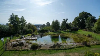 Natürlicher Teichbereich im Garten mit üppiger Vegetation und Holzsteg.