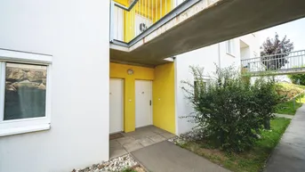 Expose Herrliche 2 Zimmer Gartenwohnung in Loosdorf