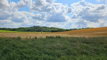 Expose Baugrundstück in Thomasl